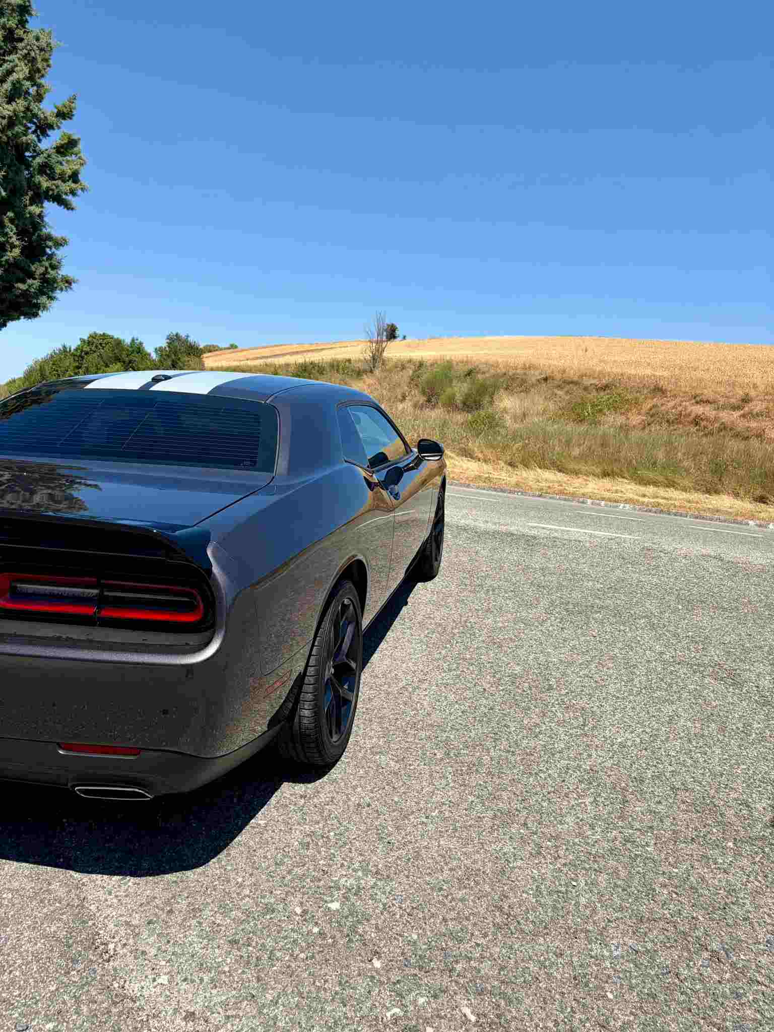 Dodge Challenger 2019 · 3.6 V6 305 CV en venta
