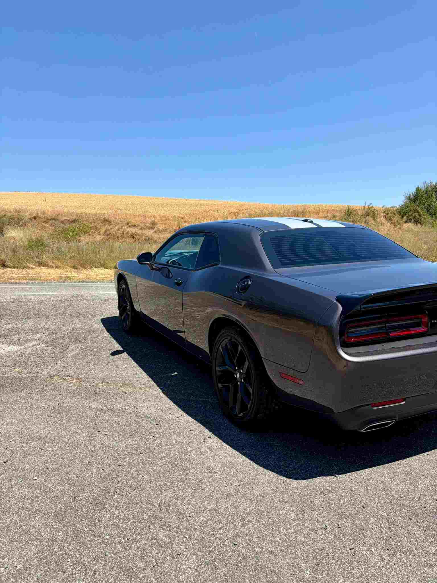 Dodge Challenger 2019 · 3.6 V6 305 CV en venta
